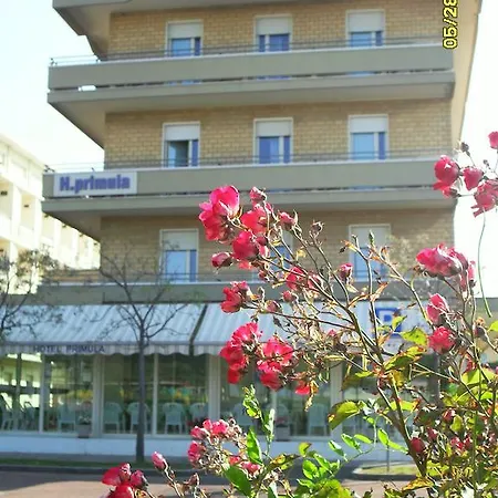 Primula Cesenatico