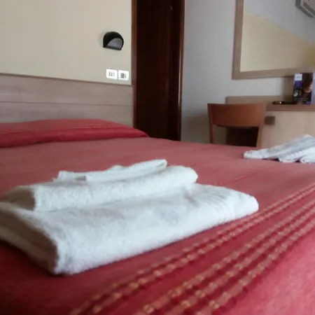 Primula 2* 체제나티코