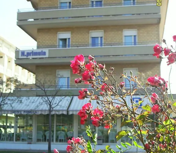 Primula צ'סנטיקו