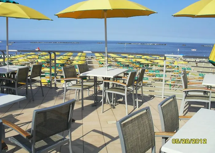 Primula تْشيزيناتيكو