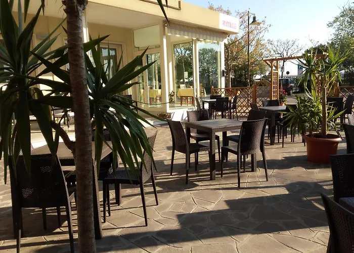 Primula צ'סנטיקו