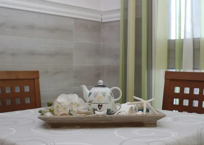 Primula تْشيزيناتيكو